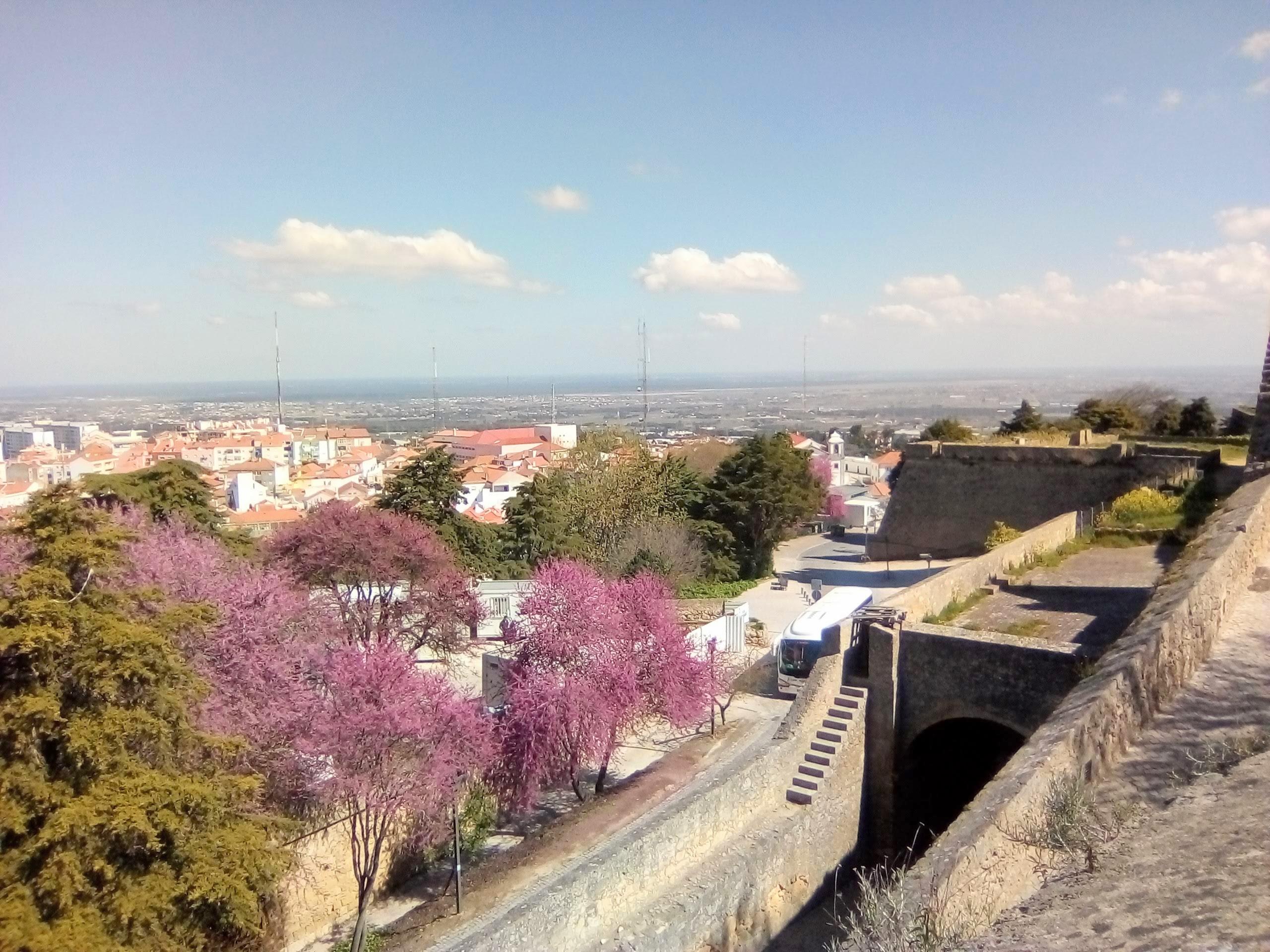 🌟 Tour Castelo de Palmela, Mercado do Livramento, Arrábida - photo 3