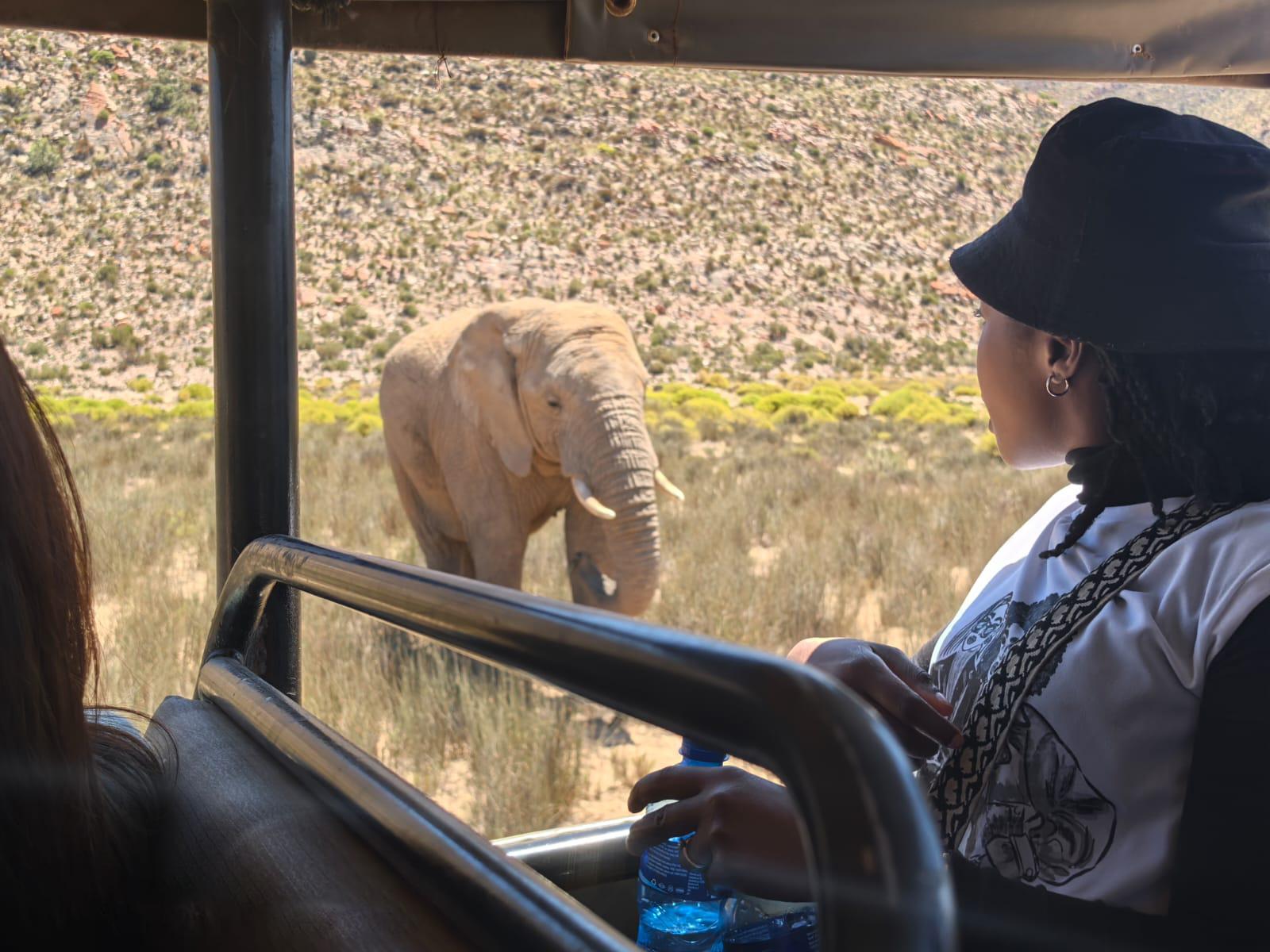 Big 5 Aquila Game Reserve Safari Full Day Tour and Lunch - cover photo