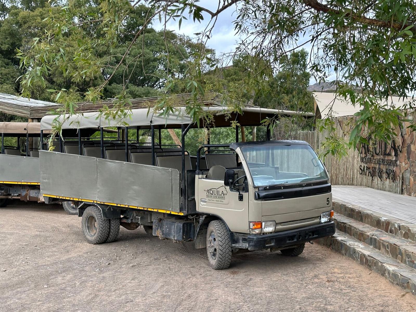 Big 5 Aquila Game Reserve Safari Full Day Tour and Lunch - photo 3