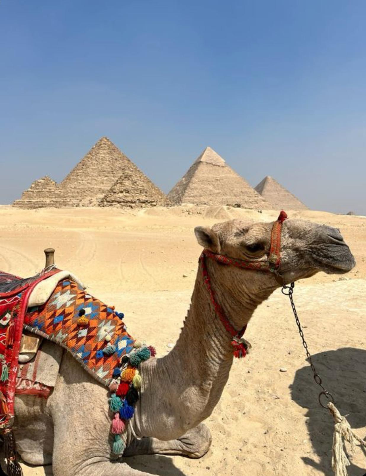VIP Private Tour Giza Pyramids Sphinx Grand Egyptian Museum - photo 3