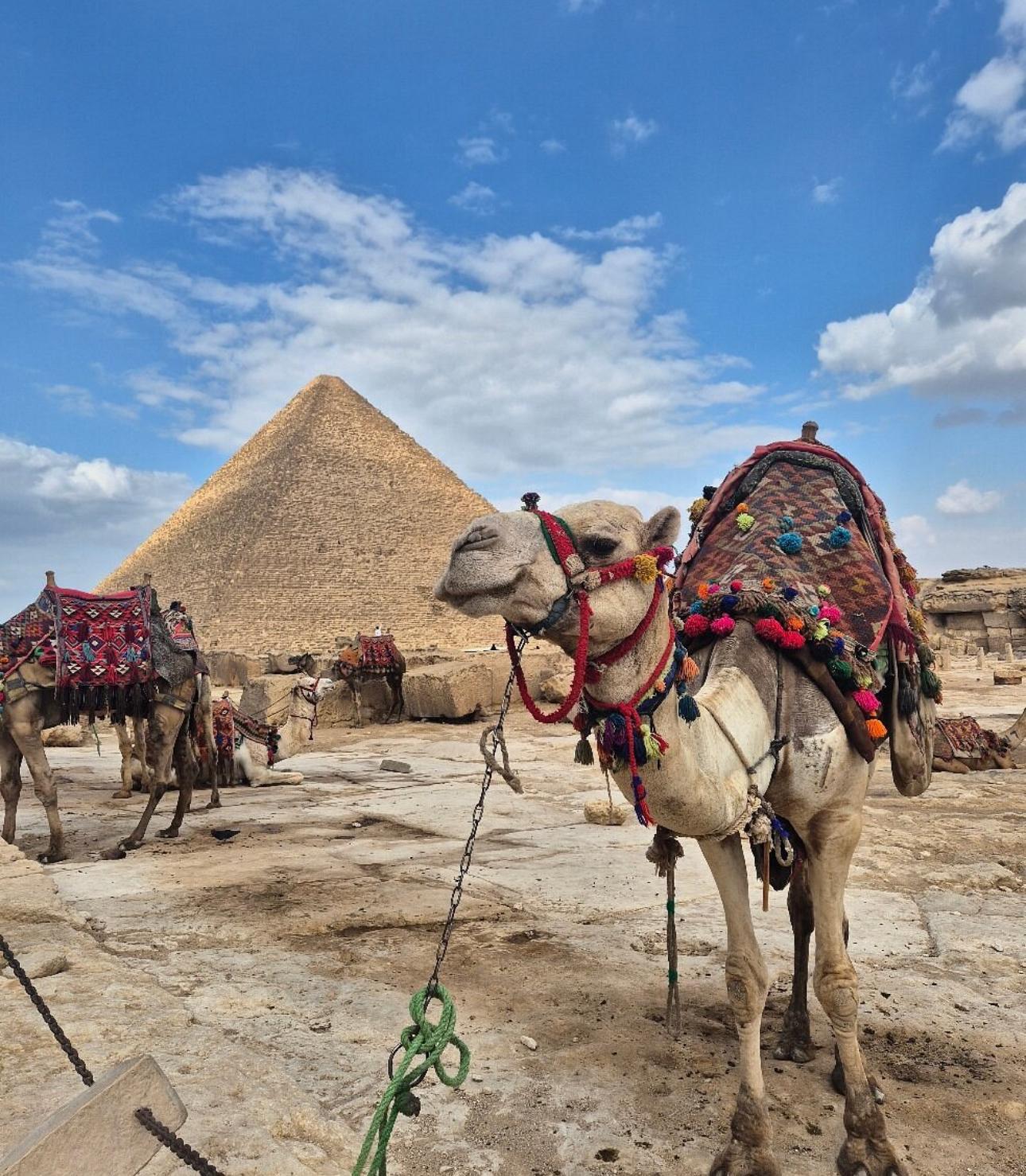 VIP Private Tour Giza Pyramids Sphinx Grand Egyptian Museum - photo 5