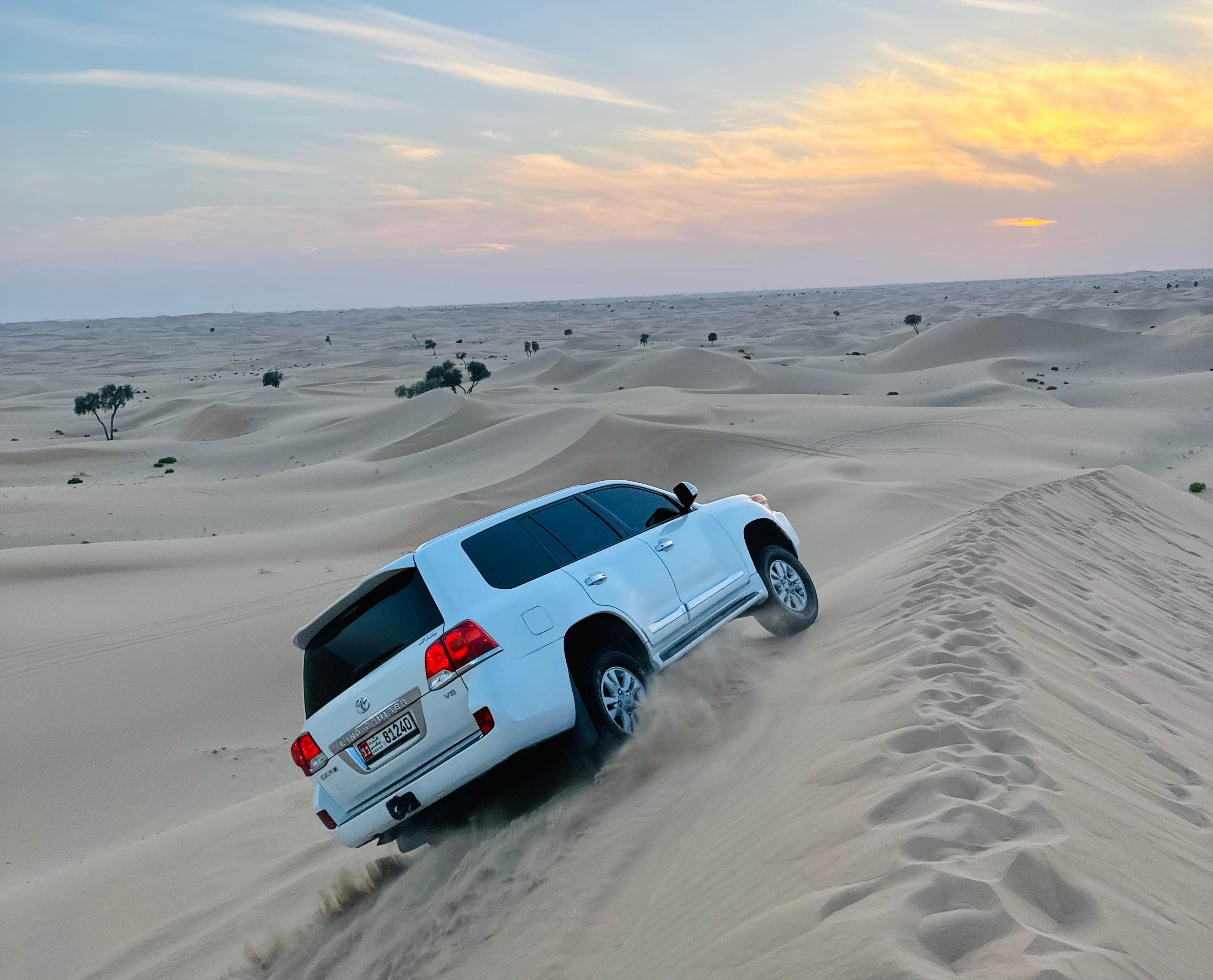 Abu Dhabi Evening Desert Safari with BBQ Dinner and Shows - cover photo