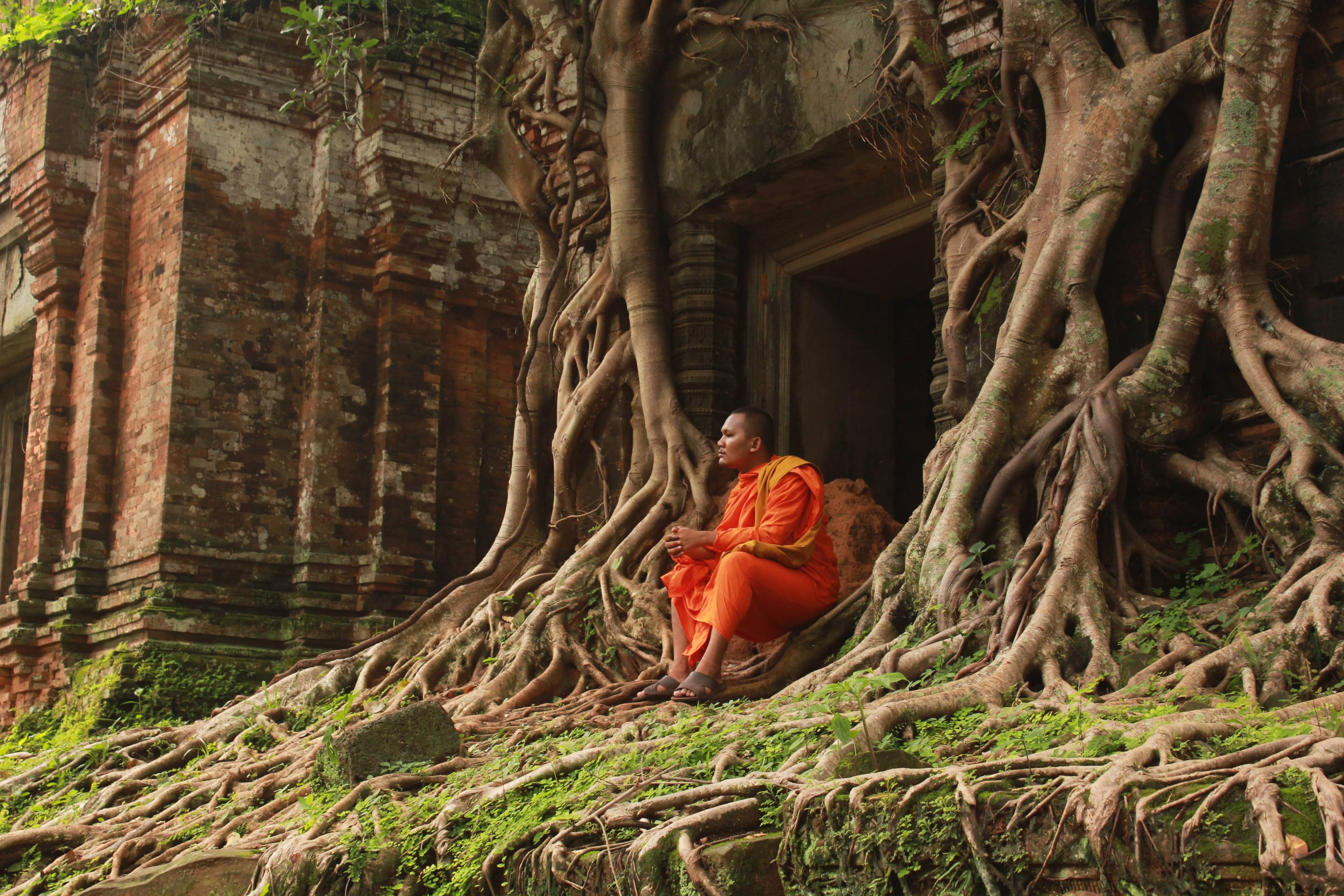 Private Siem Reap Tour: Koh Ker Pyramid & Beng Mealea - photo 2