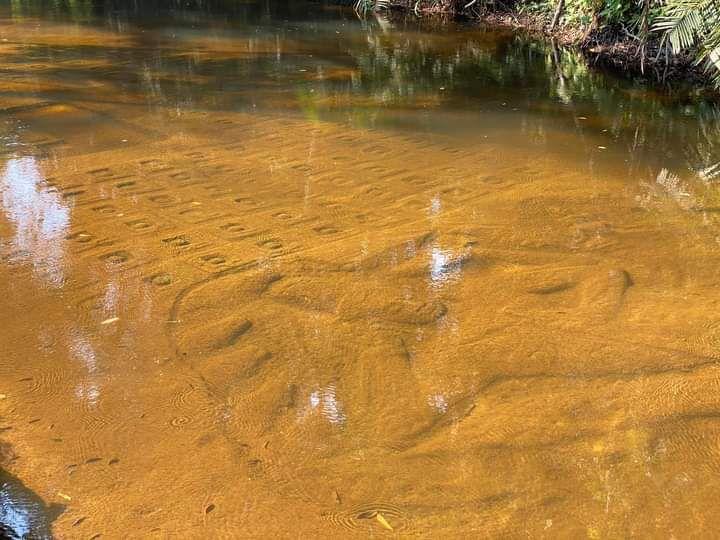 Private Siem Reap Tour: Kulen Mountain & Kompong Khleang - photo 5