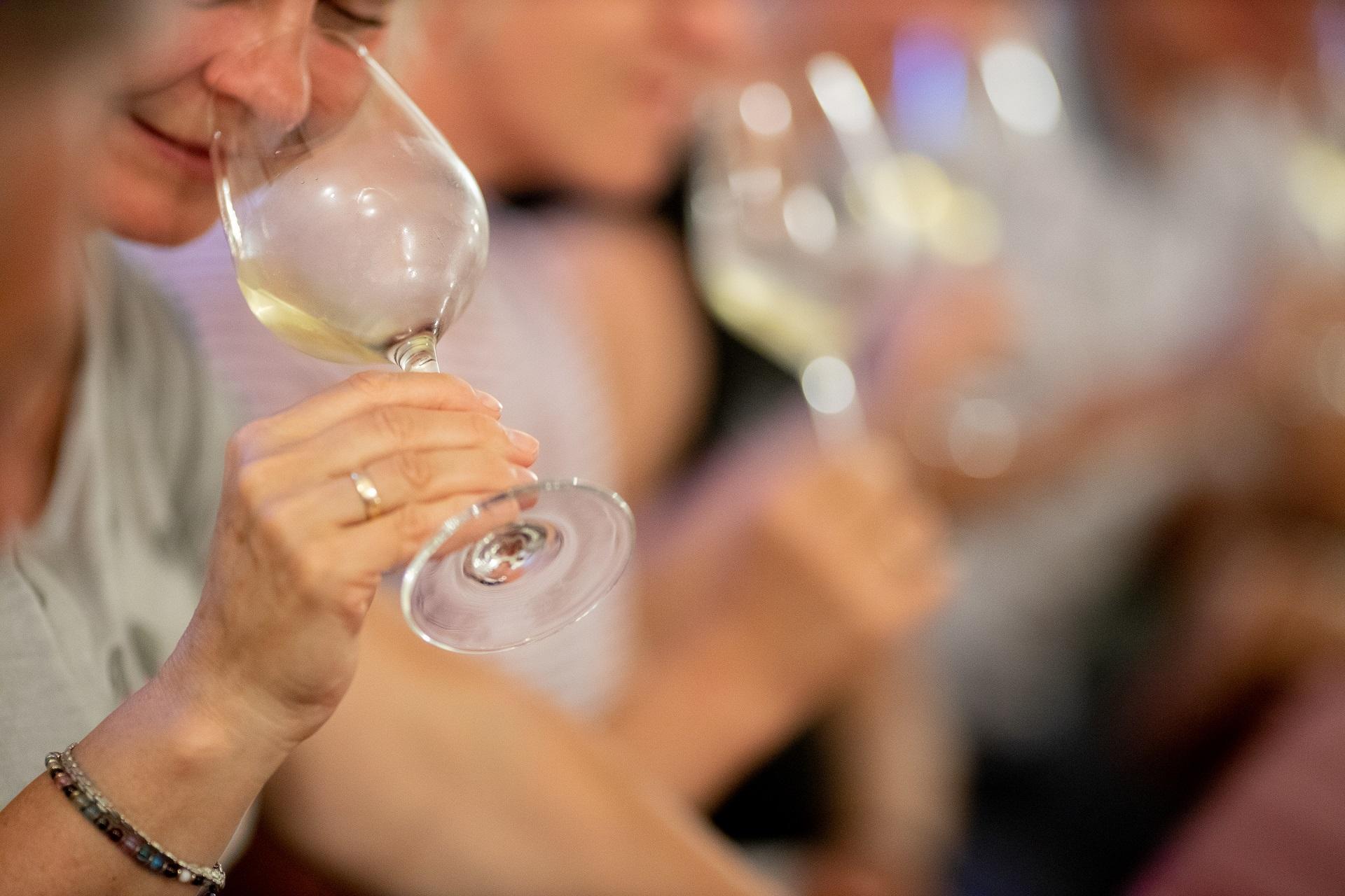 Sicilian Oil, Wine and Family Traditions - photo 2