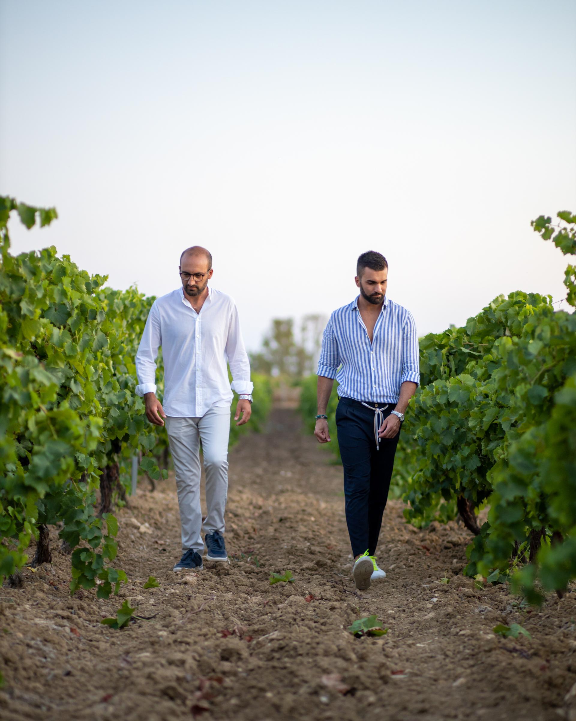 Sicilian Oil, Wine and Family Traditions - photo 3