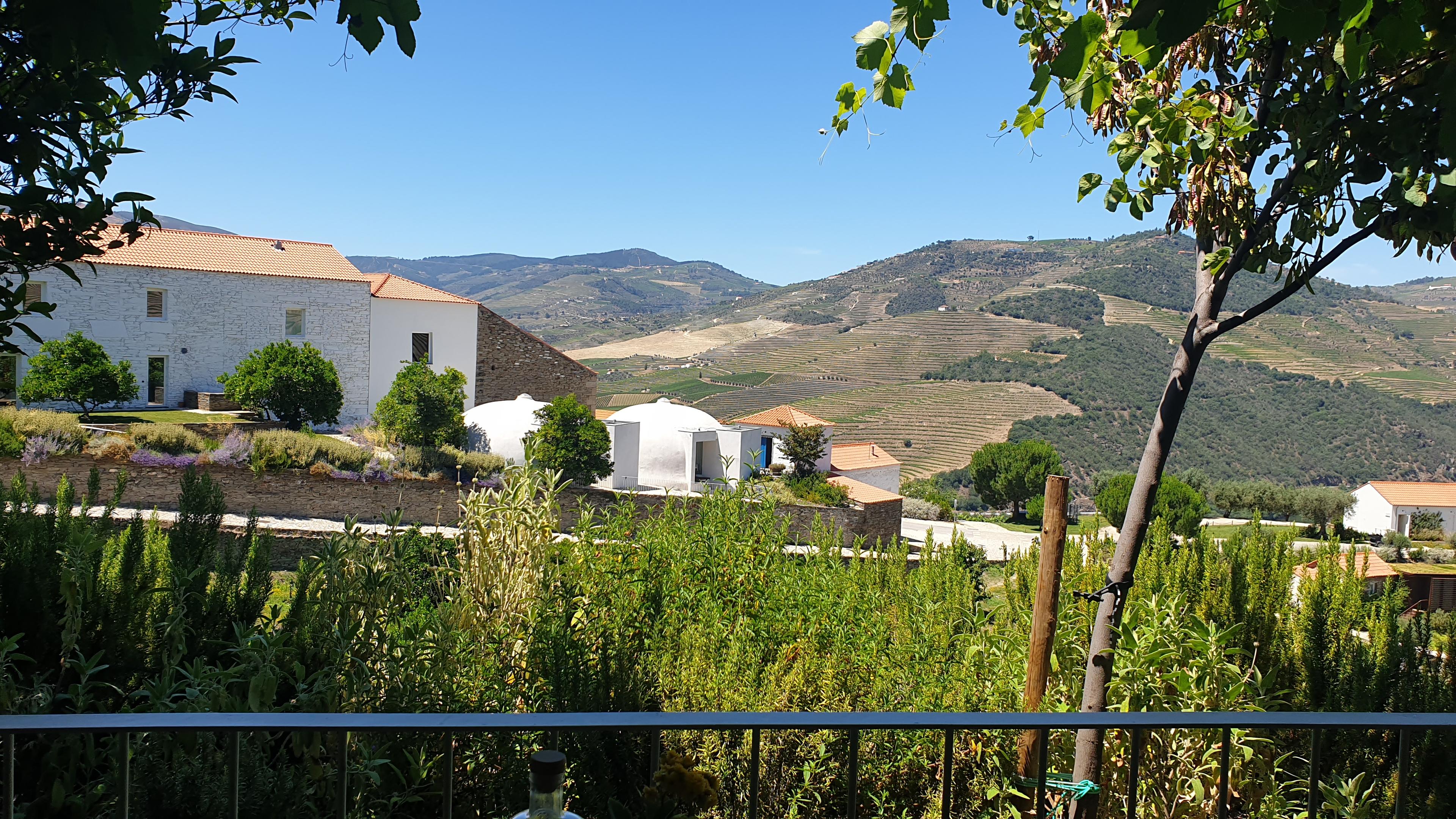 Douro Valley Prestige – Private Full‑Day Experience - cover photo