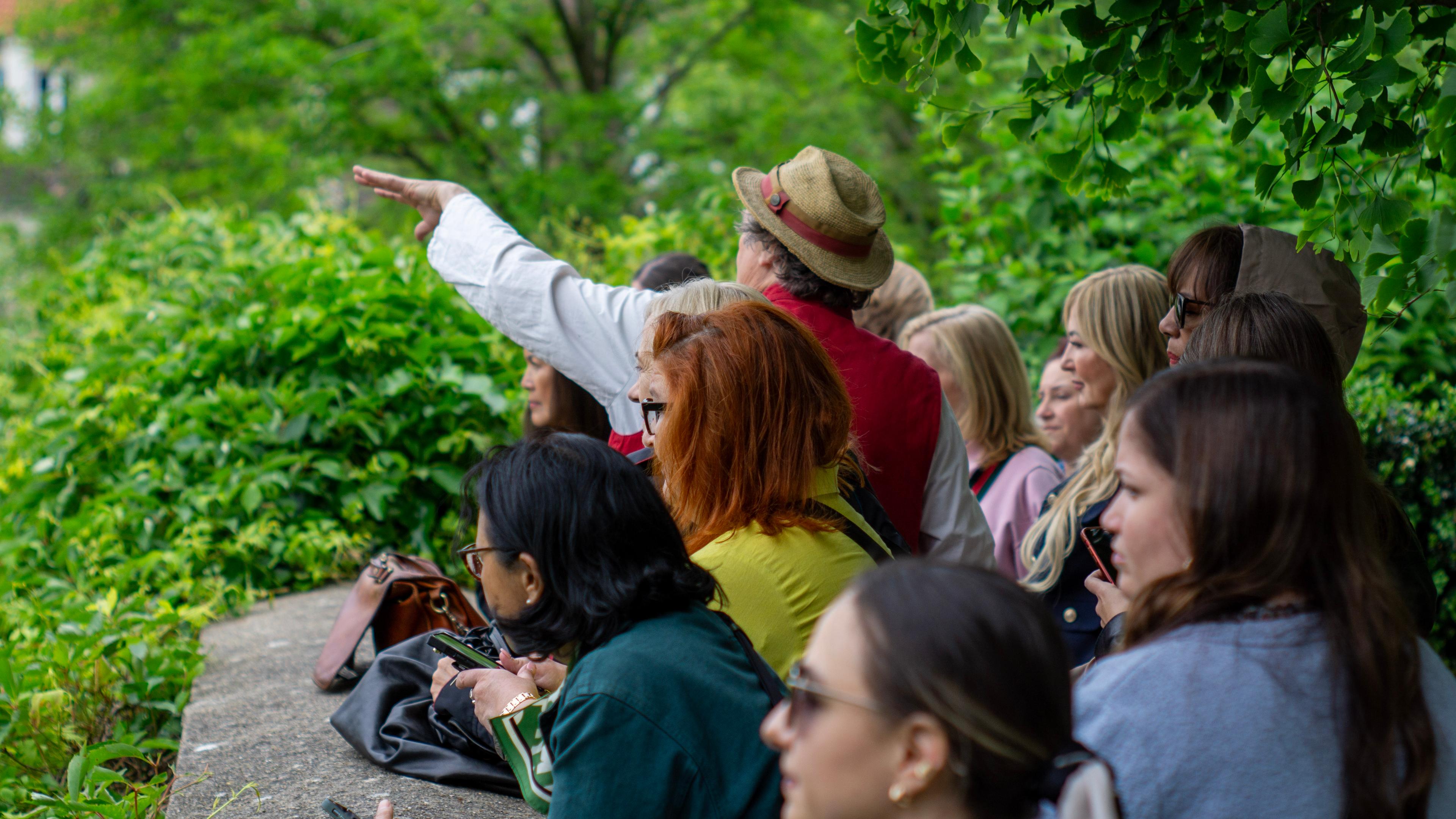 Paris Wine Walks - photo 4
