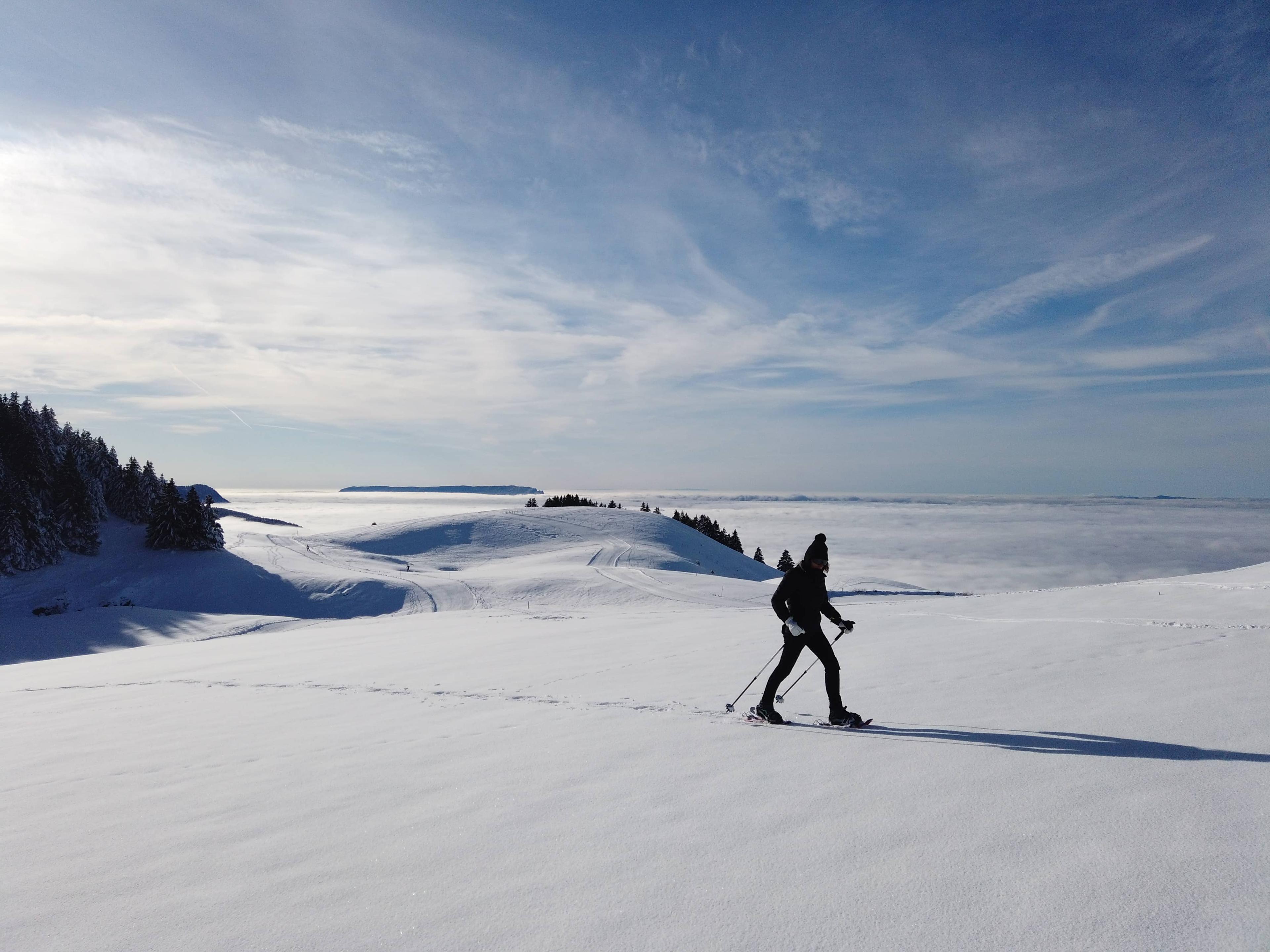 Snowshoeing trip near Annecy - cover photo