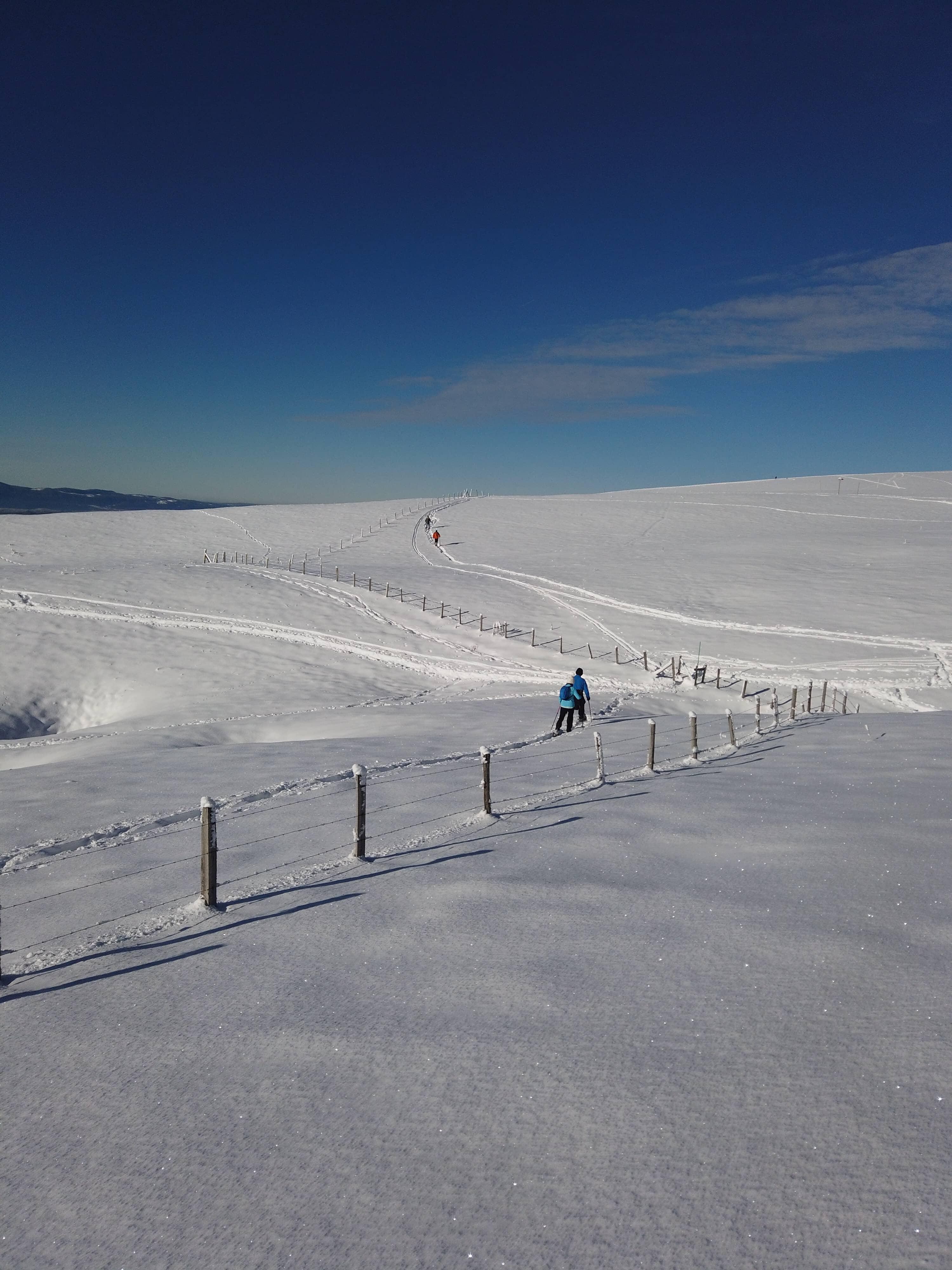 Snowshoeing trip near Annecy - photo 3