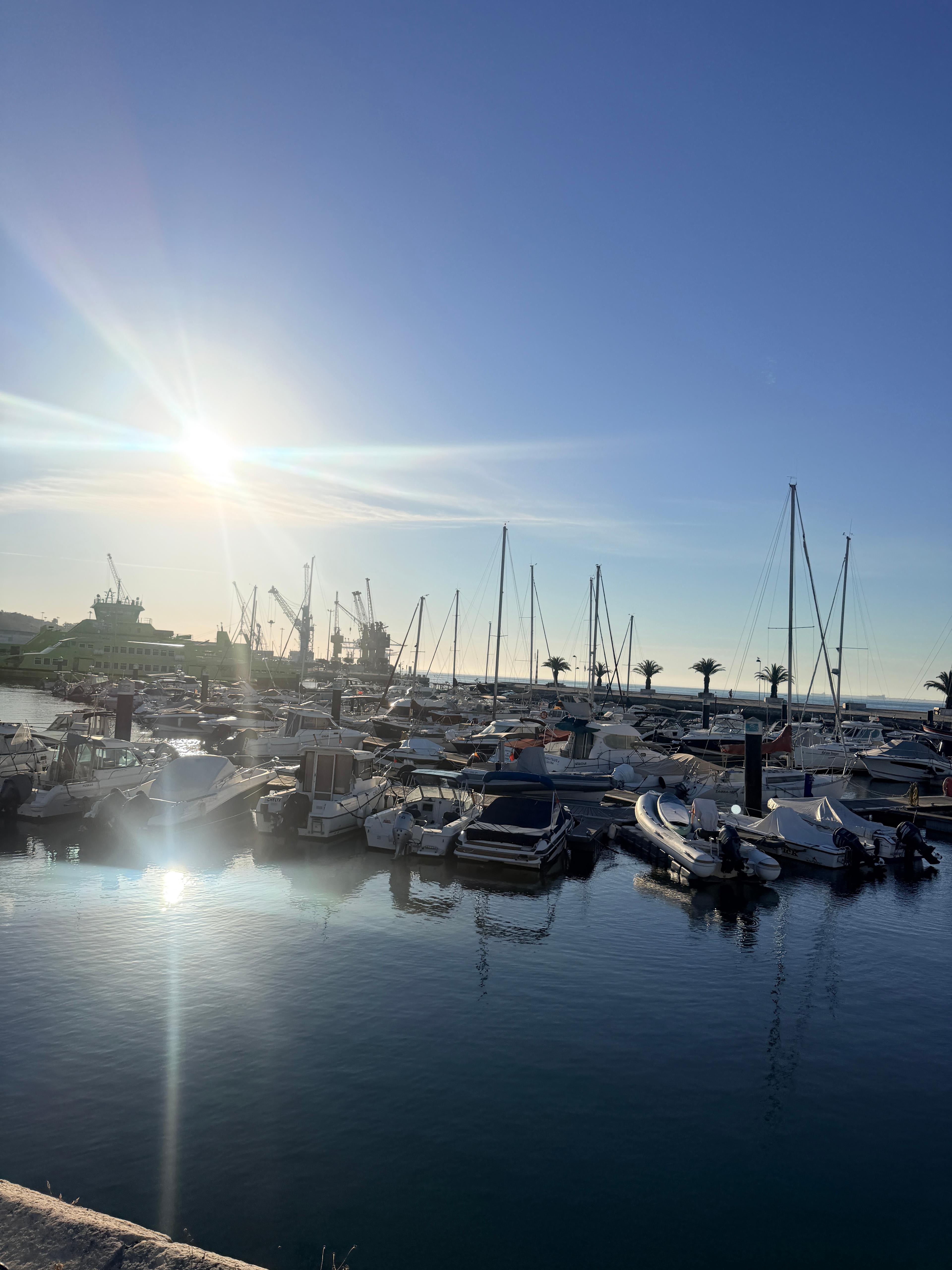 The Setúbal Catch - photo 4